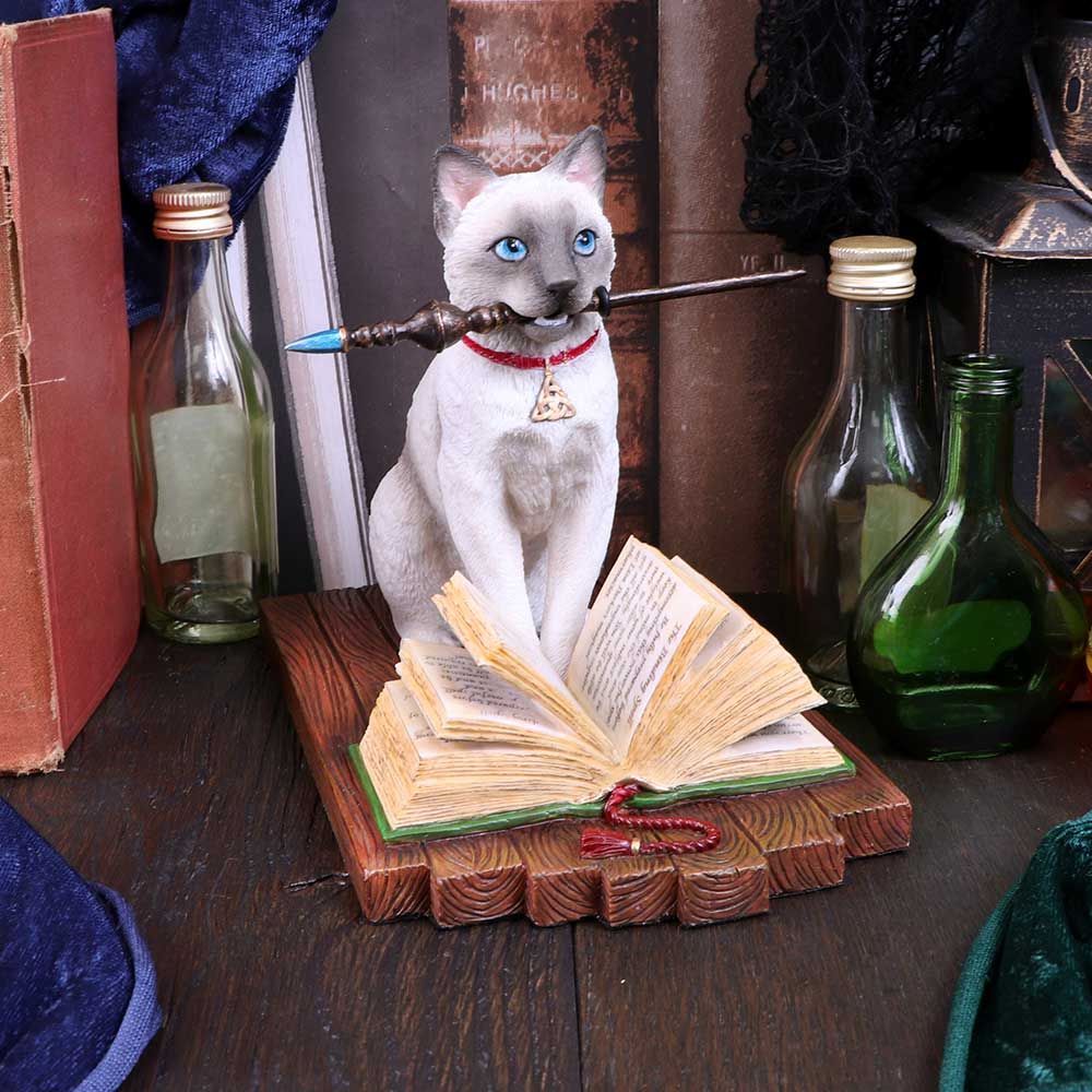 Storia e Magia -Lisa Parker - Gatto Spirito di Salem su Teschio