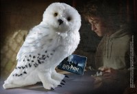 Harry Potter - Peluche Edvige  - Prodotto ufficiale © Warner Bros. Entertainment Inc.