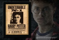 Harry Potter - Quadro Indesiderabile N°1