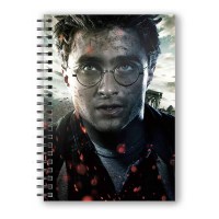Harry Potter - Quaderno 3D Harry Battaglia Finale - Ufficiale Warner Bros
