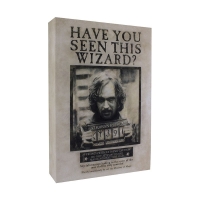 Harry Potter - Lampada Sirius Black Ricercato - Tela - Batterie - Usb -  Prodotto Ufficiale Warner Bros.